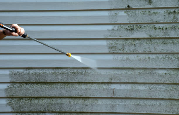 Best Mold Removal Process  in Stro Valley, CA